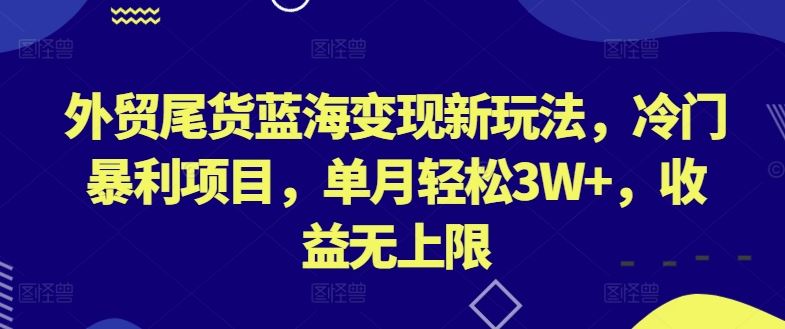 外贸尾货蓝海变现新玩法，冷门暴利项目，单月轻松3W+，收益无上限【揭秘】-立业有术
