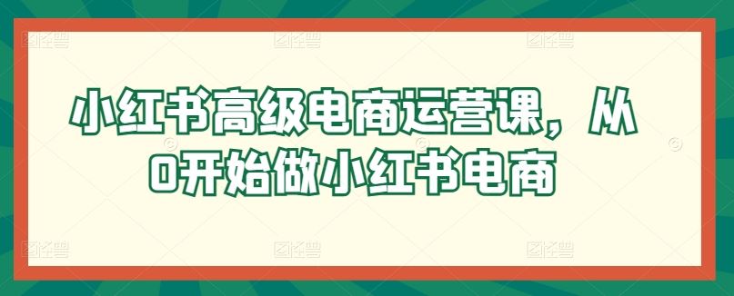 小红书高级电商运营课，从0开始做小红书电商-立业有术