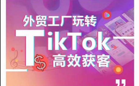 外贸工厂玩转TikTok高效获客，多种引流方式与账号定位技巧，拆解爆款短视频打造成功案例-立业有术