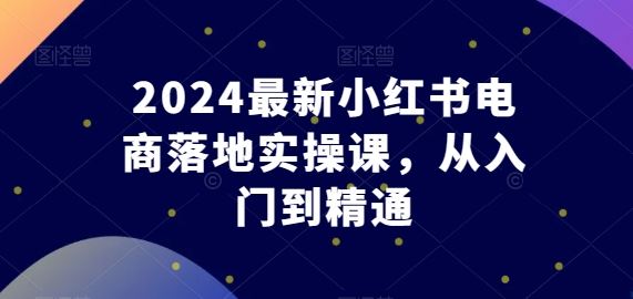 2024最新小红书电商落地实操课，从入门到精通-立业有术