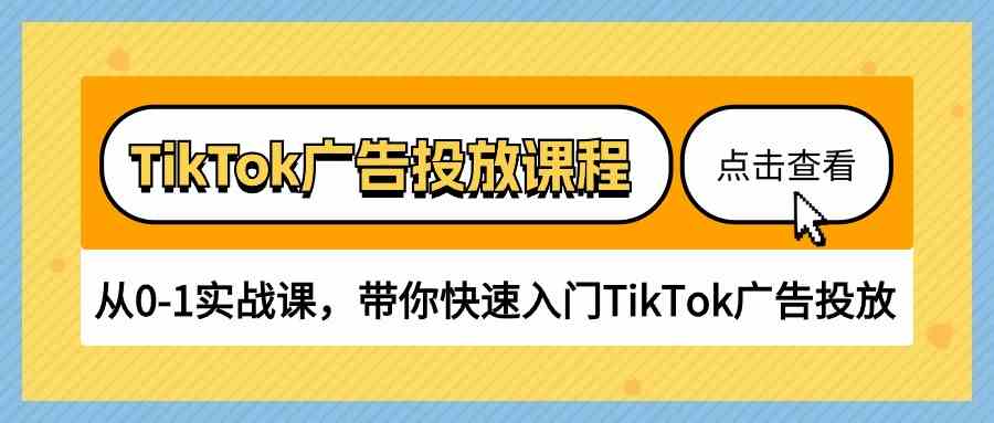 TikTok广告投放课程，从0-1实战课，带你快速入门TikTok广告投放（30节课）-立业有术