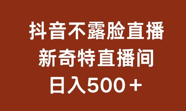 不露脸挂机直播，新奇特直播间，日入500+【揭秘】-立业有术