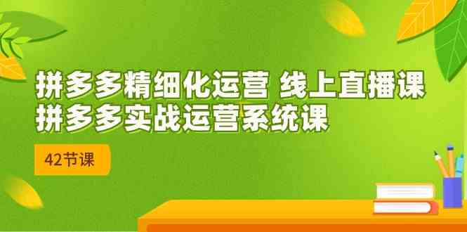 拼多多精细化运营 线上直播课：拼多多实战运营系统课（更新47节）-立业有术