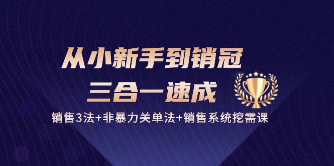 从小新手到销冠三合一速成：销售3法+非暴力关单法+销售系统挖需课 (27节)-立业有术