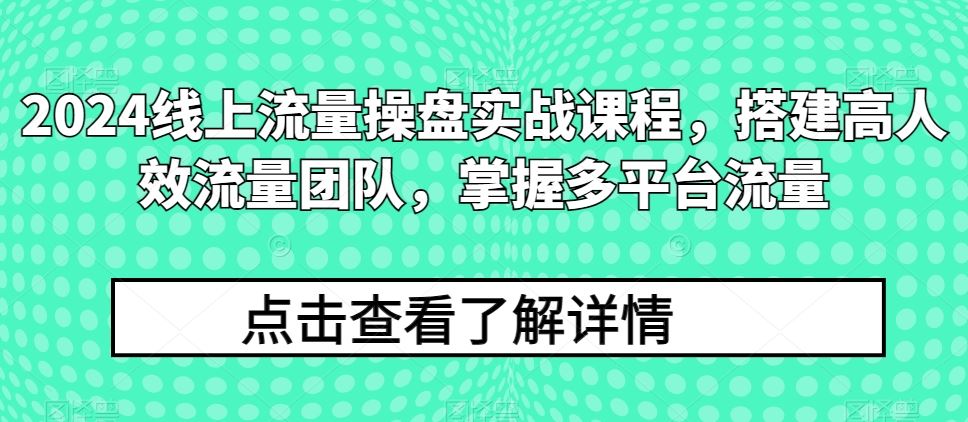 2024线上流量操盘实战课程，搭建高人效流量团队，掌握多平台流量-立业有术