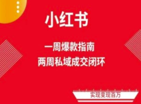 爆款小红书免费流量体系课程(两周变现)，小红书电商教程-立业有术