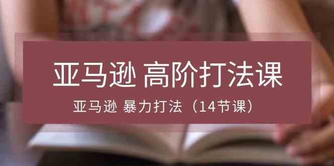 亚马逊高阶打法课，亚马逊暴力打法（14节课）-立业有术