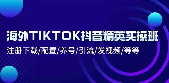 海外TIKTOK抖音精英实操班：注册下载/配置/养号/引流/发视频/等等-立业有术
