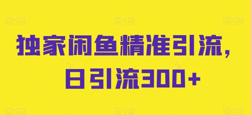 独家闲鱼精准引流，日引流300+【揭秘】-立业有术
