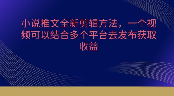小说推文全新剪辑方法，一个视频可以结合多个平台去发布获取【揭秘】-立业有术
