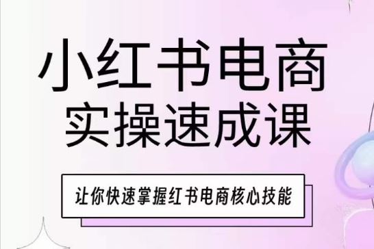 小红书电商实操速成课，让你快速掌握红书电商核心技能-立业有术