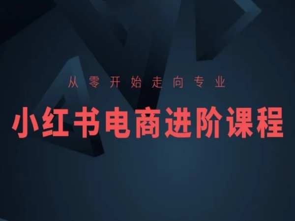 从零开始走向专业，小红书电商进阶课程-立业有术