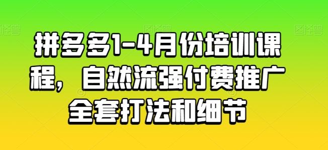 拼多多1-4月份培训课程，自然流强付费推广全套打法和细节-立业有术