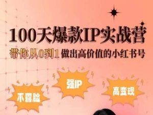 小红书100天爆款IP实战营，带你从0到1做出高价值的小红书号-立业有术