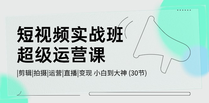 短视频实战班超级运营课 |剪辑|拍摄|运营|直播|变现 小白到大神 (30节)-立业有术