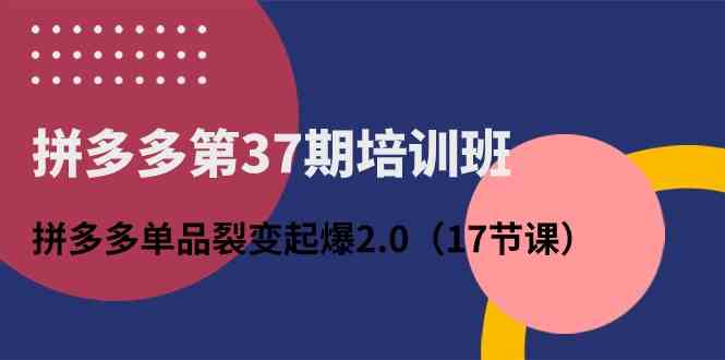 拼多多第37期培训班：拼多多单品裂变起爆2.0（17节课）-立业有术