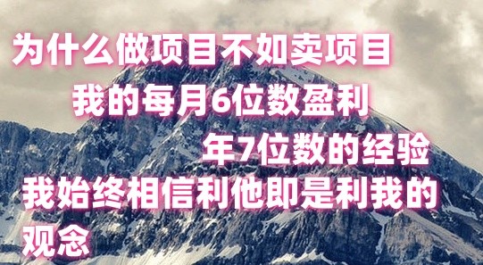 做项目不如卖项目，每月6位数盈利，年7位数经验-立业有术