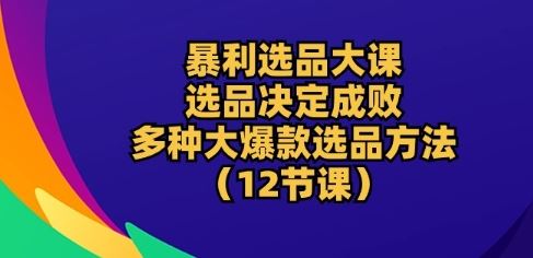 暴利选品大课：选品决定成败，教你多种大爆款选品方法(12节课)-立业有术