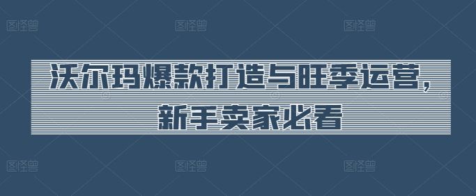 沃尔玛爆款打造与旺季运营，新手卖家必看-立业有术