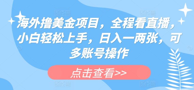 海外撸美金项目，全程看直播，小白轻松上手，日入一两张，可多账号操作【揭秘】-立业有术