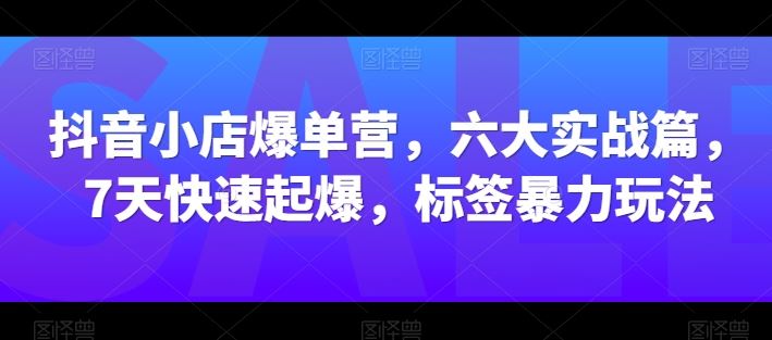 抖音小店爆单营，六大实战篇，7天快速起爆，标签暴力玩法-立业有术