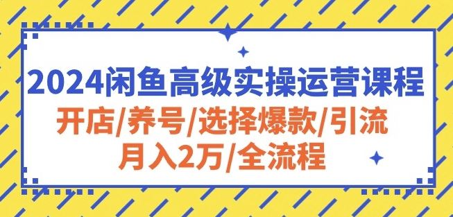 2024闲鱼高级实操运营课程：开店/养号/选择爆款/引流/月入2万/全流程-立业有术