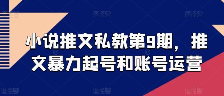 小说推文私教第9期，推文暴力起号和账号运营-立业有术