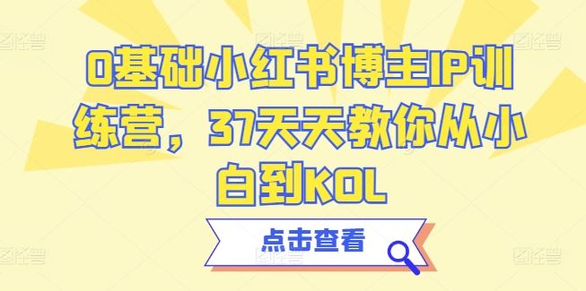 0基础小红书博主IP训练营，37天天教你从小白到KOL-立业有术