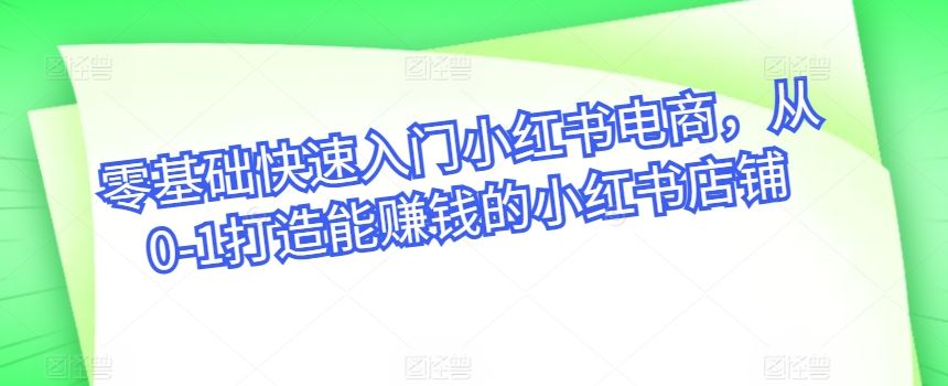 零基础快速入门小红书电商，从0-1打造能赚钱的小红书店铺-立业有术
