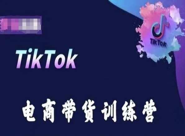 TikTok电商带货训练营，跟随时代潮流，跨境掘金-立业有术
