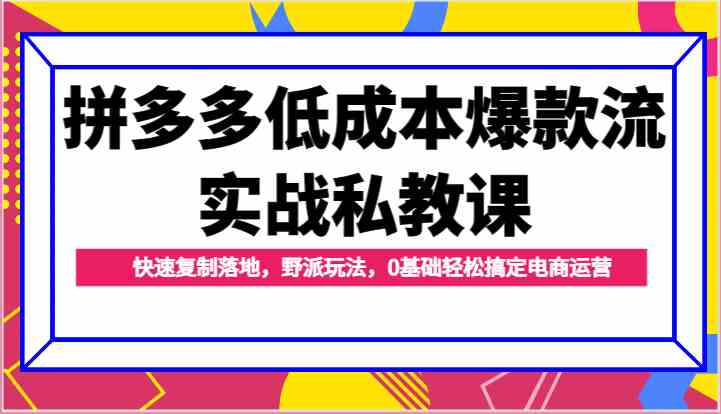 拼多多低成本爆款流实战私教课，快速复制落地，野派玩法，0基础轻松搞定电商运营-立业有术