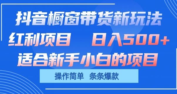 抖音橱窗带货新玩法，单日收益几张，操作简单，条条爆款【揭秘】-立业有术