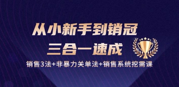 从小新手到销冠 三合一速成：销售3法+非暴力关单法+销售系统挖需课 (27节)-立业有术