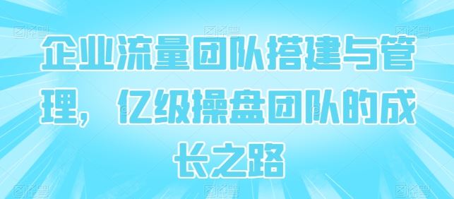 企业流量团队搭建与管理，亿级操盘团队的成长之路-立业有术