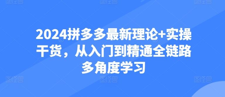 2024拼多多最新理论+实操干货，从入门到精通全链路多角度学习-立业有术