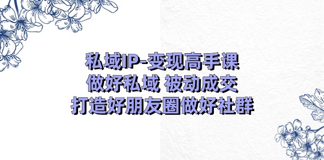私域IP变现高手课：做好私域被动成交，打造好朋友圈做好社群（18节）-立业有术