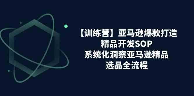 亚马逊爆款打造之精品开发SOP【训练营】，系统化洞察亚马逊精品选品全流程-立业有术