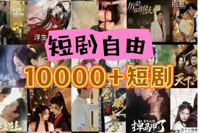 打造完全属于自己的个人短剧库，实现网盘拉新与私域变现的完美融合！-立业有术