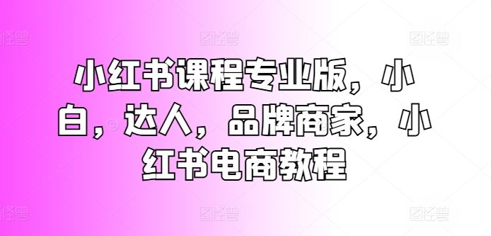 小红书课程专业版，小白，达人，品牌商家，小红书电商教程-立业有术