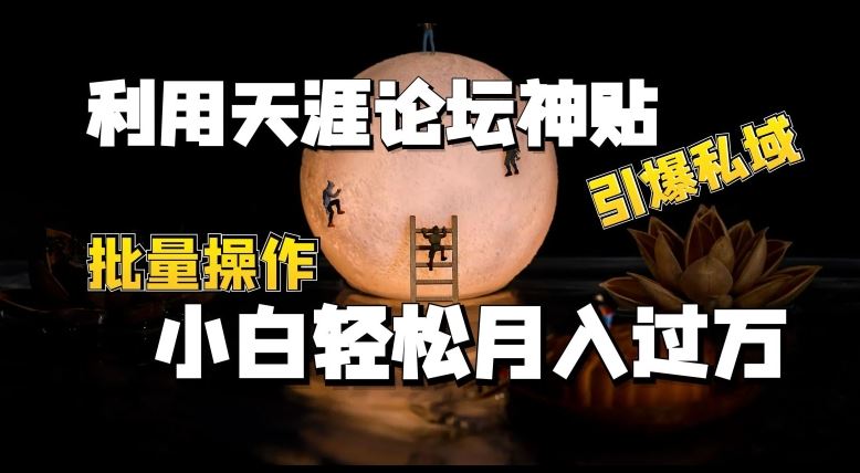 利用天涯论坛神贴，引爆私域，批量操作，小白轻松月入过w【揭秘】-立业有术