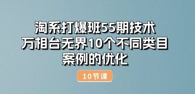 淘系打爆班55期技术：万相台无界10个不同类目案例的优化(10节)-立业有术