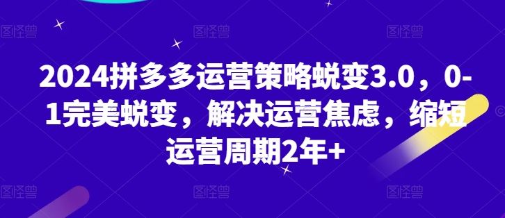 2024拼多多运营策略蜕变3.0，0-1完美蜕变，解决运营焦虑，缩短运营周期2年+-立业有术