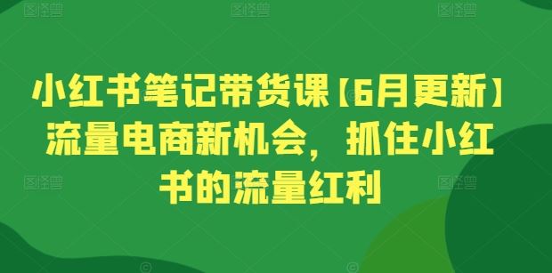 小红书笔记带货课【6月更新】流量电商新机会，抓住小红书的流量红利-立业有术