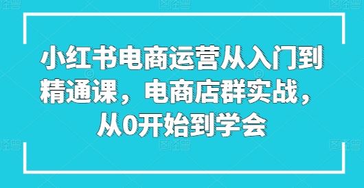 小红书电商运营从入门到精通课，电商店群实战，从0开始到学会-立业有术
