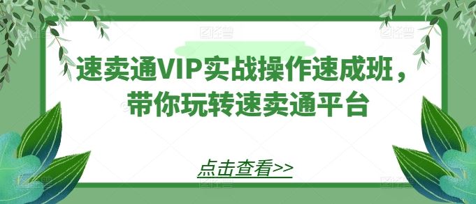 速卖通VIP实战操作速成班，带你玩转速卖通平台-立业有术