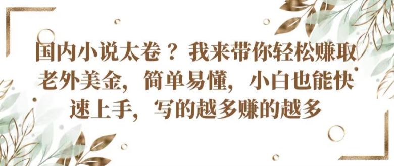 国内小说太卷 ?带你轻松赚取老外美金，简单易懂，小白也能快速上手，写的越多赚的越多【揭秘】-立业有术