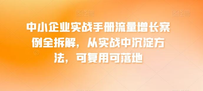 中小企业实战手册流量增长案例全拆解，从实战中沉淀方法，可复用可落地-立业有术