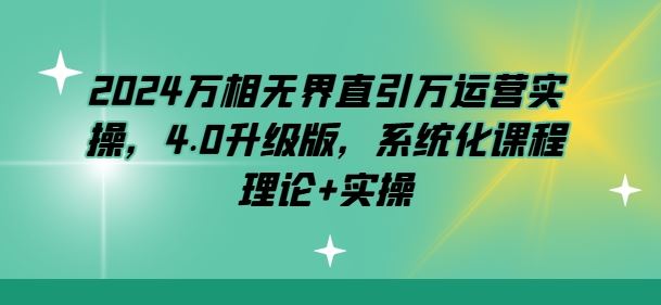 2024万相无界直引万运营实操，4.0升级版，系统化课程 理论+实操-立业有术