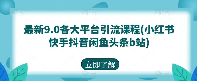 最新9.0各大平台引流课程(小红书快手抖音闲鱼头条b站)-立业有术