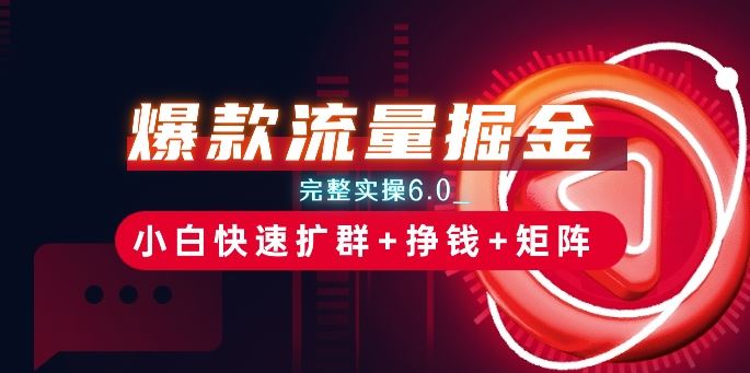 爆款流量掘金_完整实操6.0_小白快速扩群+挣钱+矩阵思路【揭秘】-立业有术